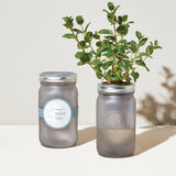 Herb Garden Jars