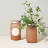 Herb Garden Jars