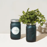 Herb Garden Jars