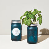 Herb Garden Jars