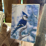Wooden Bird sign on Stick
