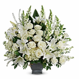 True Horizon Arrangement