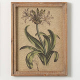 Vintage Wildflower Framed Art
