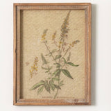 Vintage Wildflower Framed Art