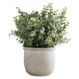 Faux Eucalyptus In Concrete Pot