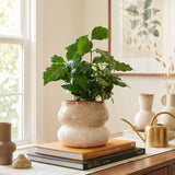 Ceramic Planter Pot, Stacked with Drainage - Noemi: Large 6.5"