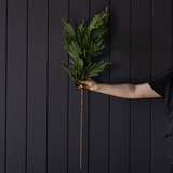 Norfolk Pine Real Touch Green Faux Stems: Small Stem - 22"