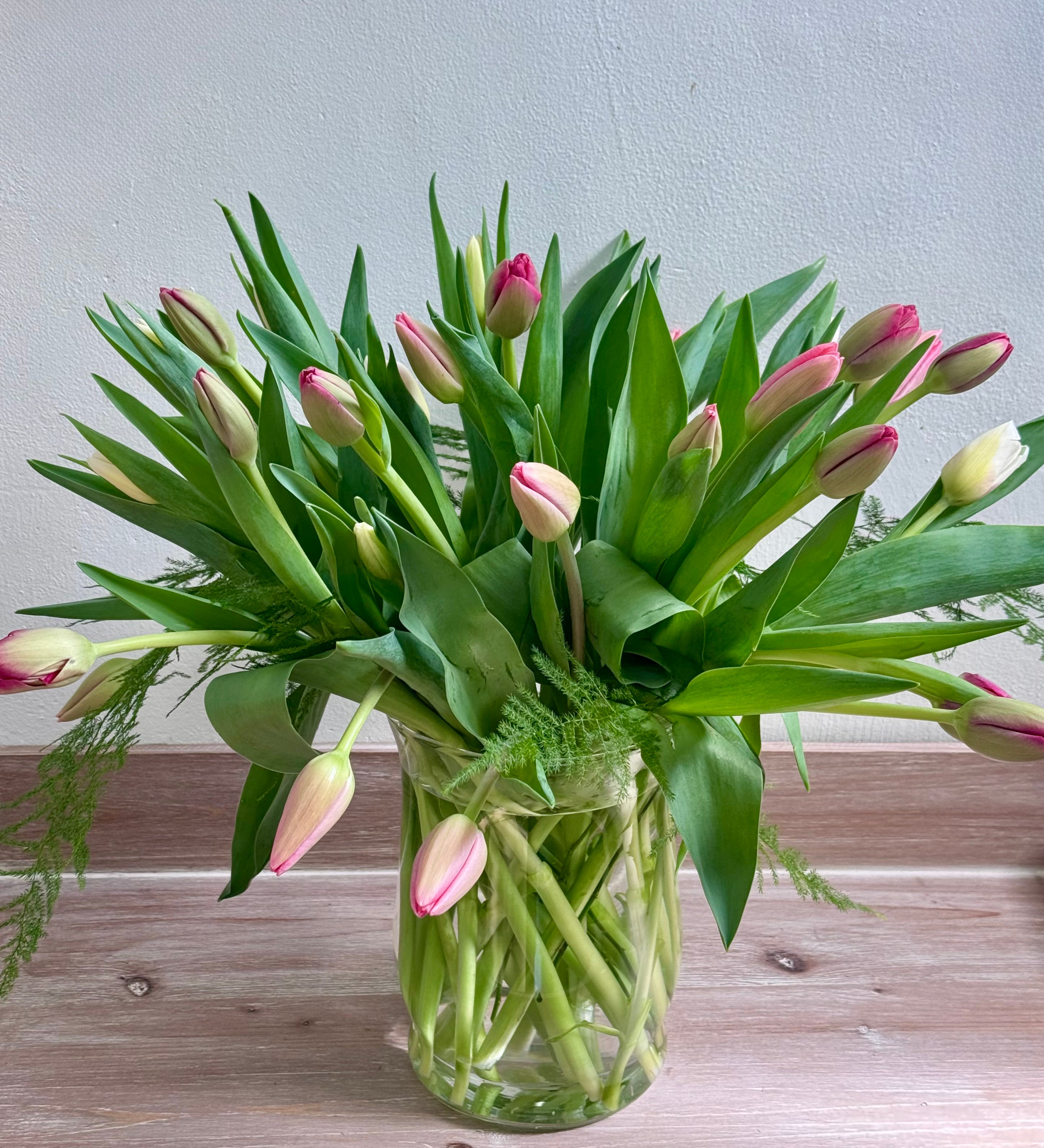 Tulips