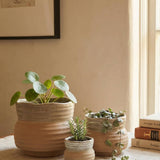 Ceramic Planter Pot, Speckled with Drainage - Marisol: Large 7.25"