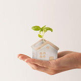 White House Plant Pot