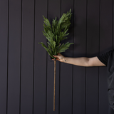 Norfolk Pine Real Touch Green Faux Stems: Large Stem -42"