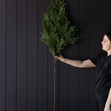 Norfolk Pine Real Touch Green Faux Stems: Large Stem -42"