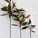 Magnolia Faux Flowers with Leaves: Medium