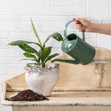 Classic Green Watering Can