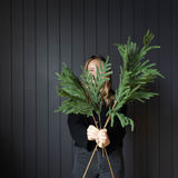 Norfolk Pine Real Touch Green Faux Stems: Large Stem -42"