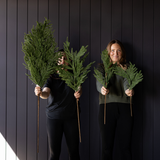 Norfolk Pine Real Touch Green Faux Stems: Large Stem -42"