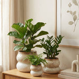 Ceramic Planter Pot, Stacked with Drainage - Noemi: Large 6.5"