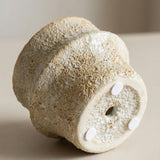 Ceramic Planter Pot, Textured with Drainage - Solene: Large 8"