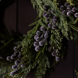 Navy Plum Frosted Berry Norfolk Cypress Wreath 14"
