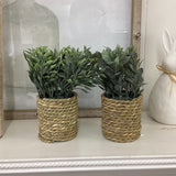 Seagrass Baskets 4 AST