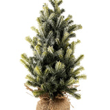 Frosted Pine Tabletop Tree