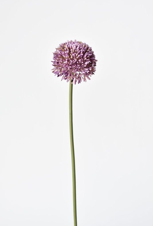 Allium silk stem