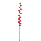 Pom Pom Bud Stem