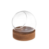 Terrarium - Glass and Wood