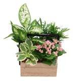 Wooden Tropical Square Planter Garden