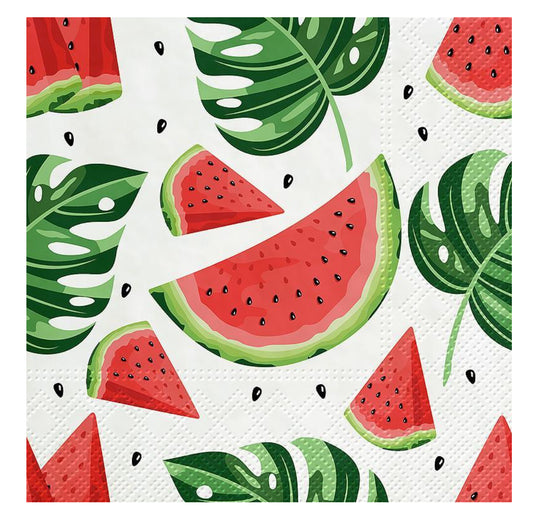 Napkin 20 Pack - Watermelon