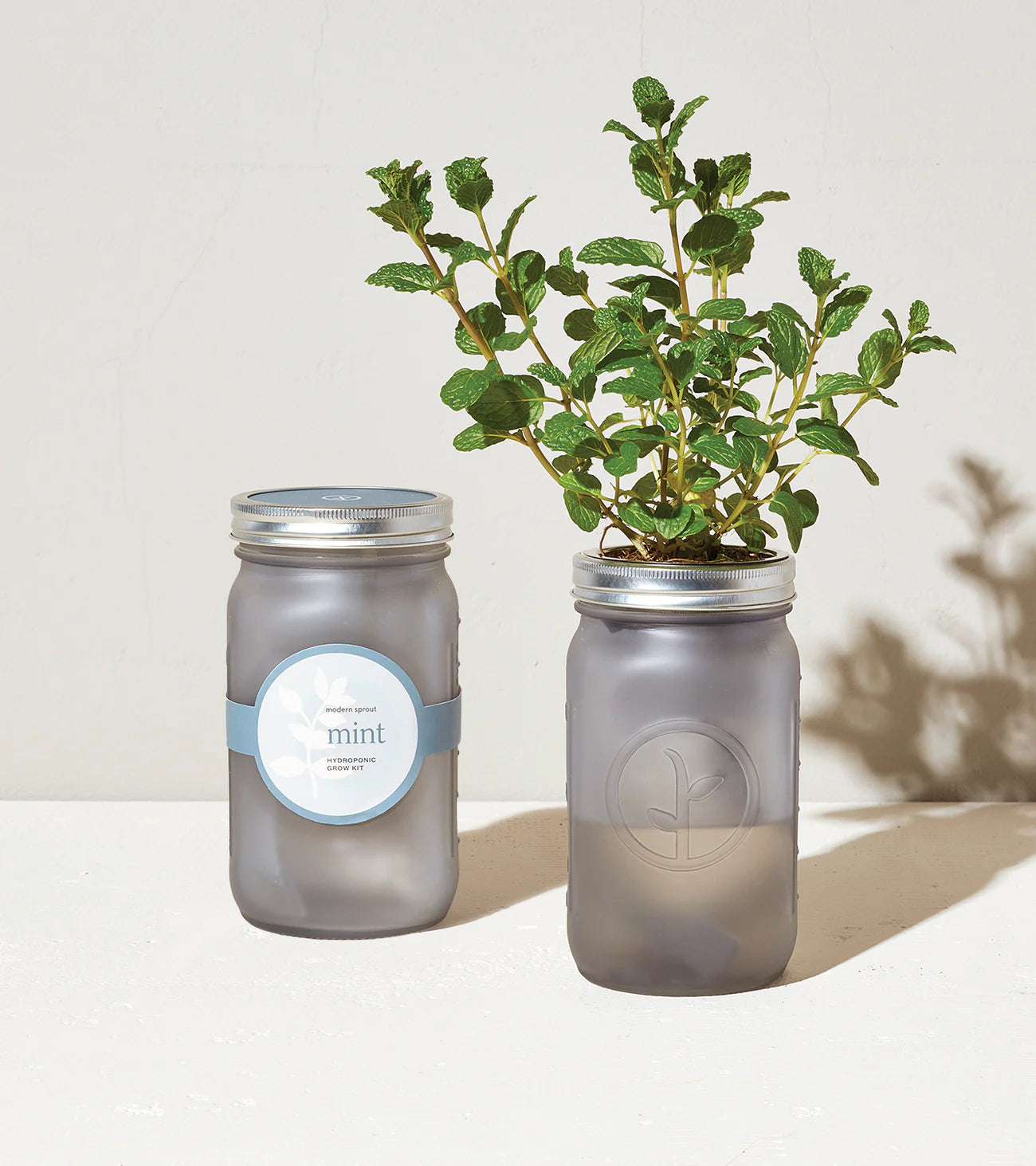 Herb Garden Jars