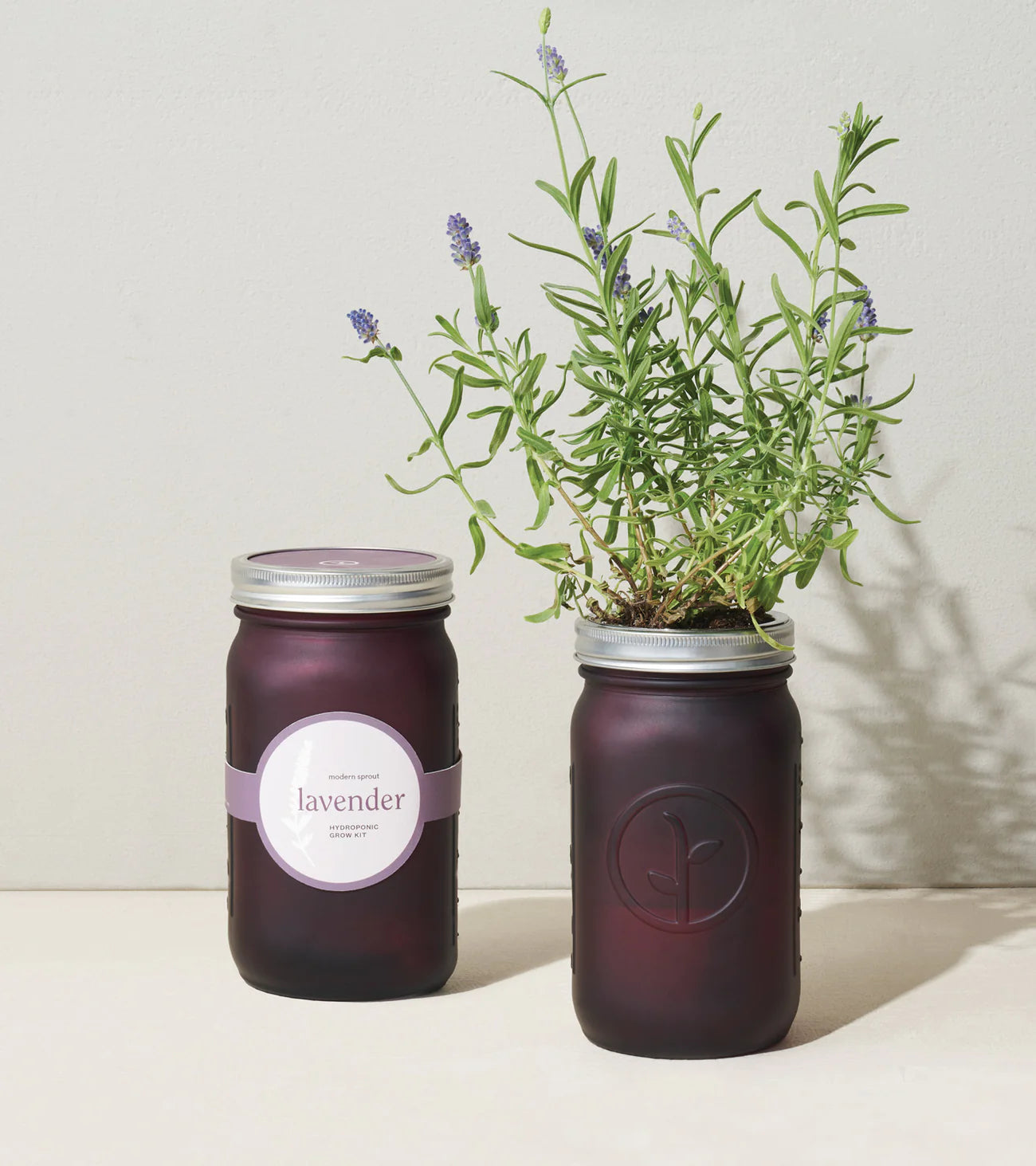 Herb Garden Jars