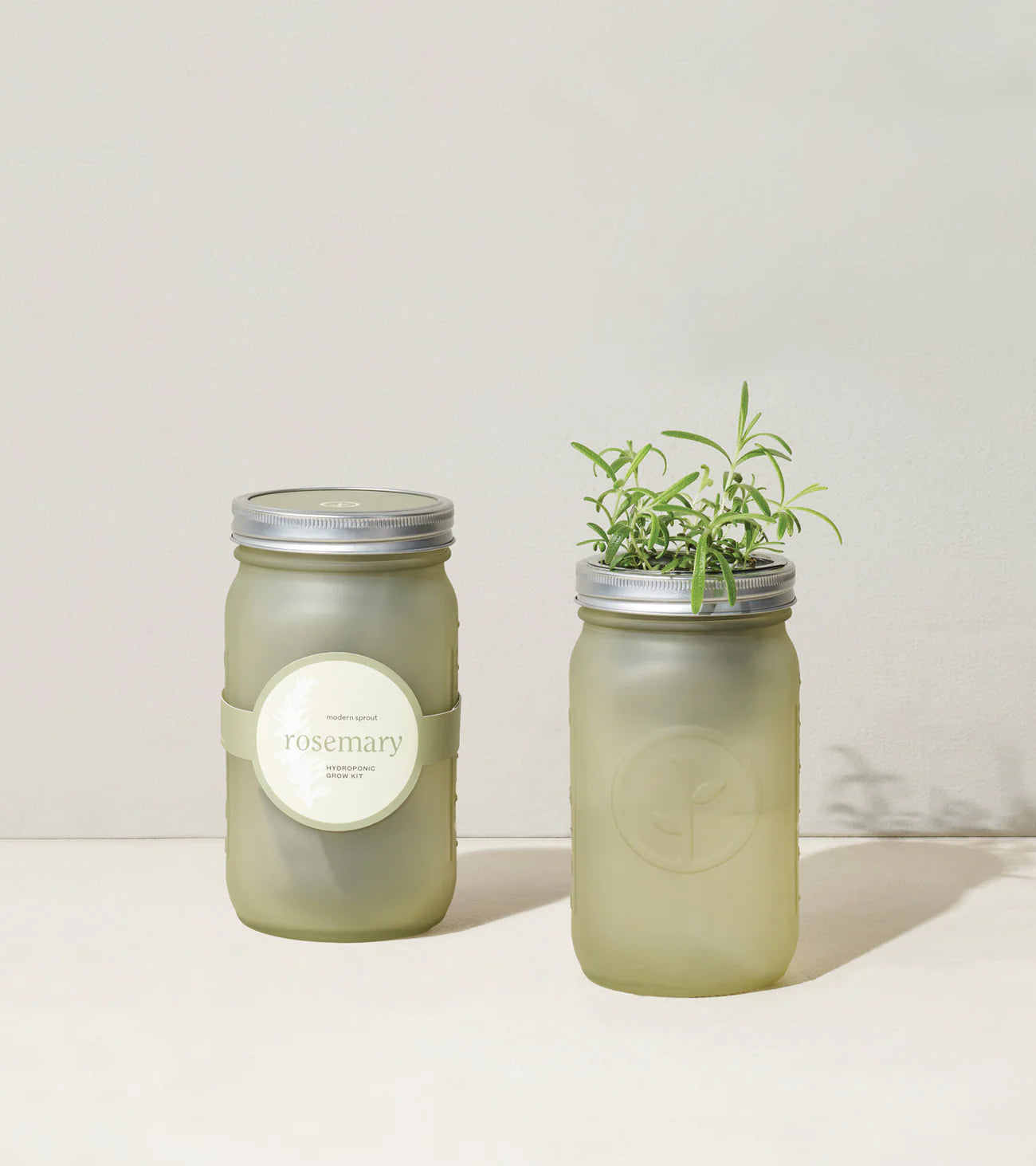 Herb Garden Jars