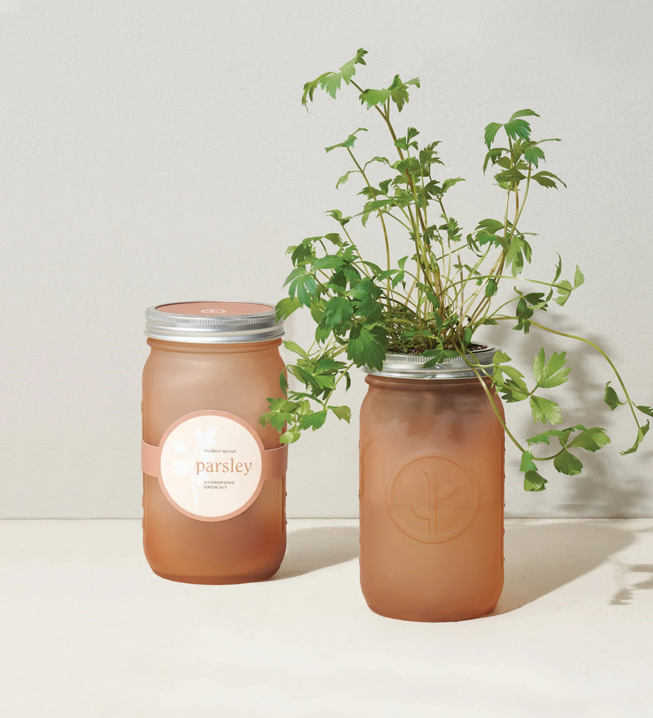 Herb Garden Jars