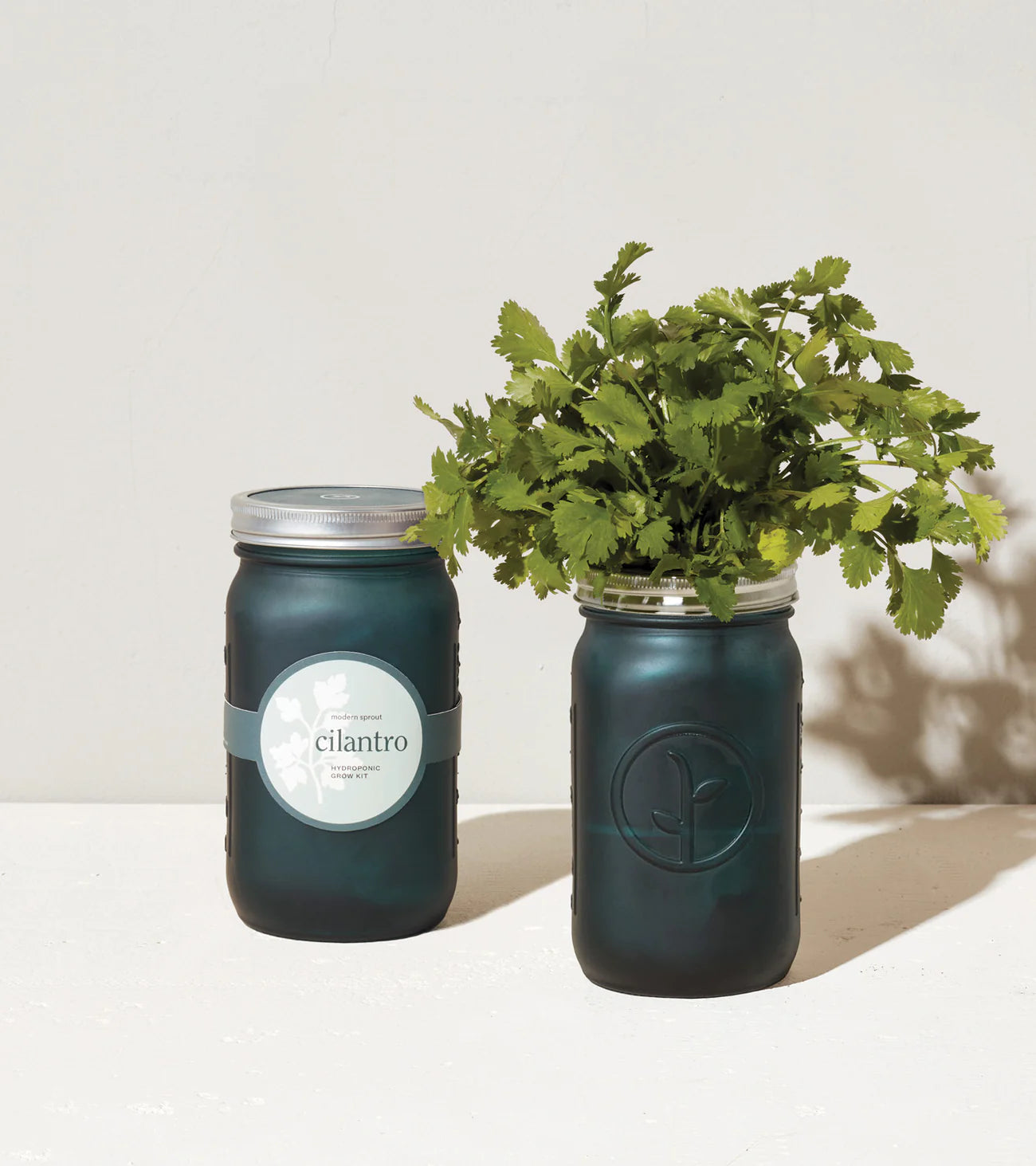 Herb Garden Jars