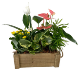 Fall Crate Planter Garden