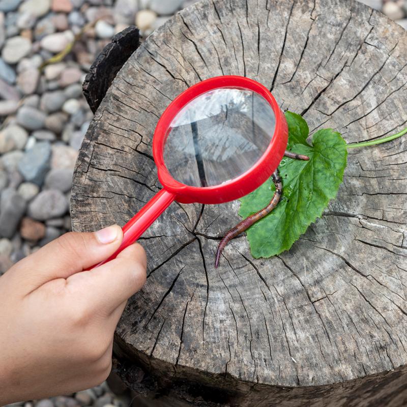 Wonders of Nature Magnifying Glass