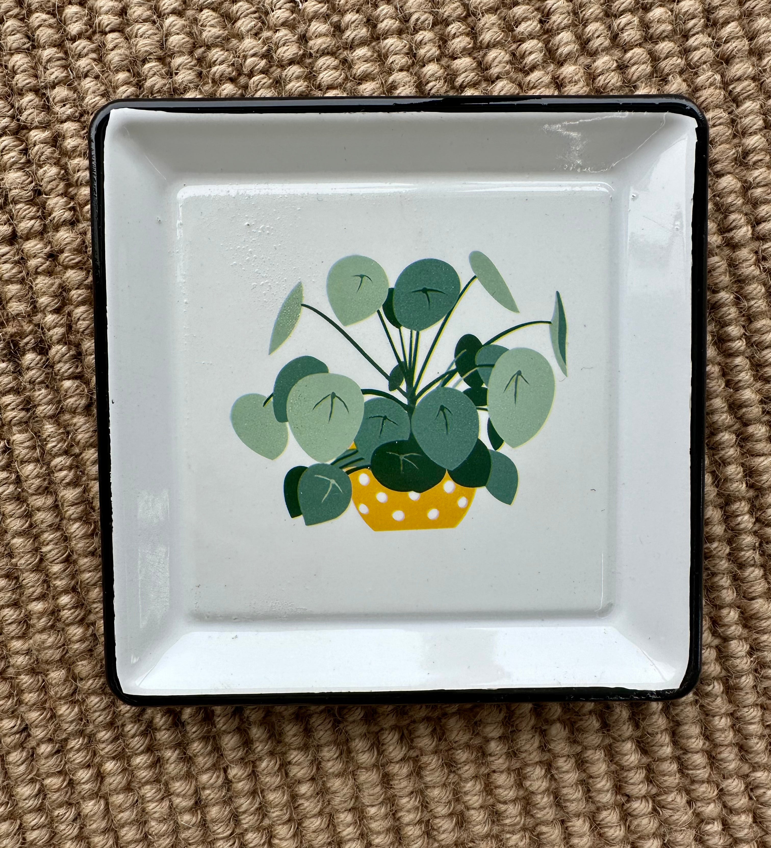 Plant Trinket Tray