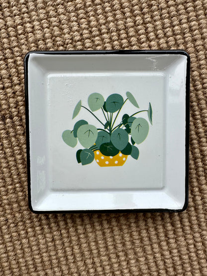 Plant Trinket Tray