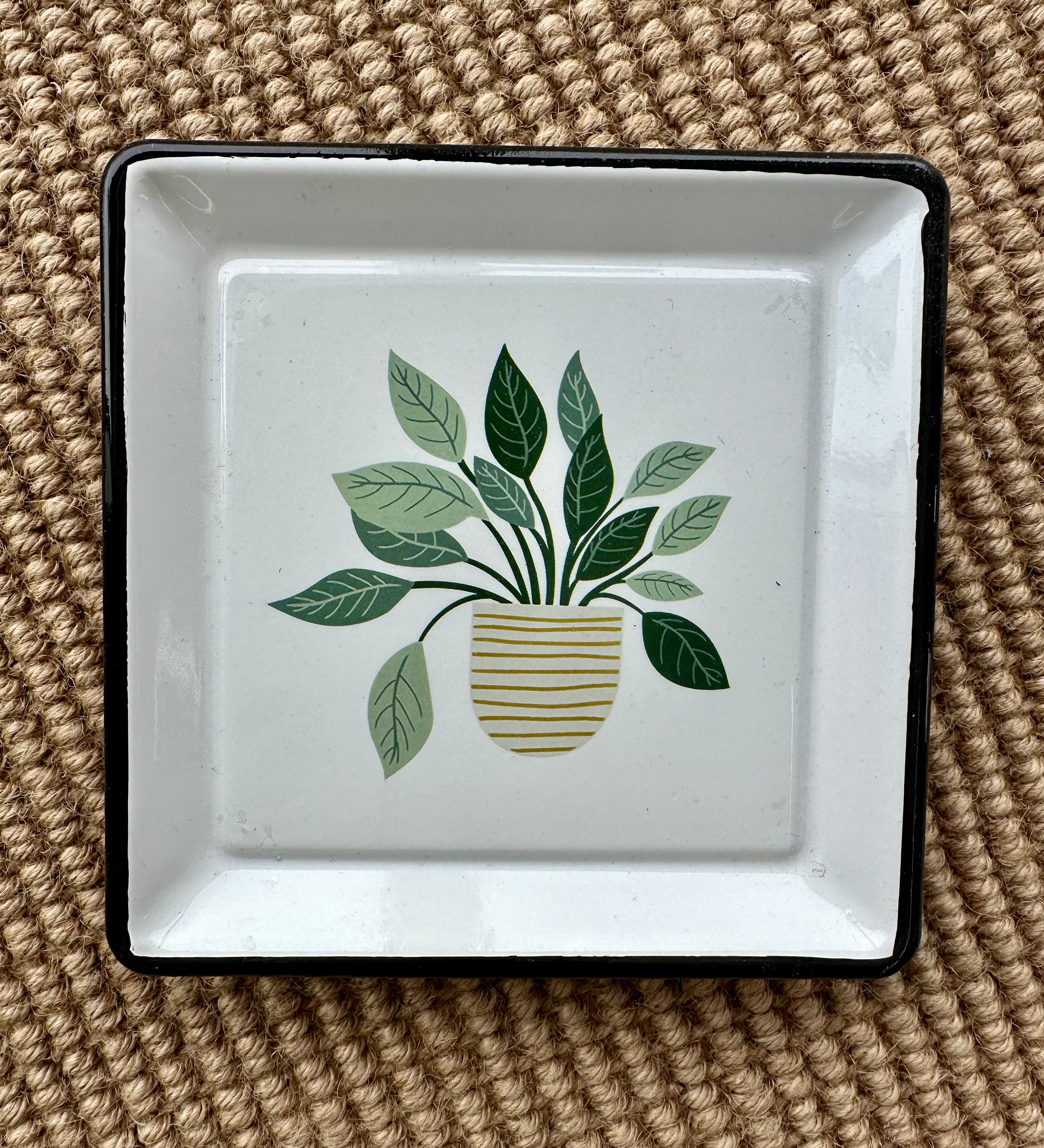 Plant Trinket Tray