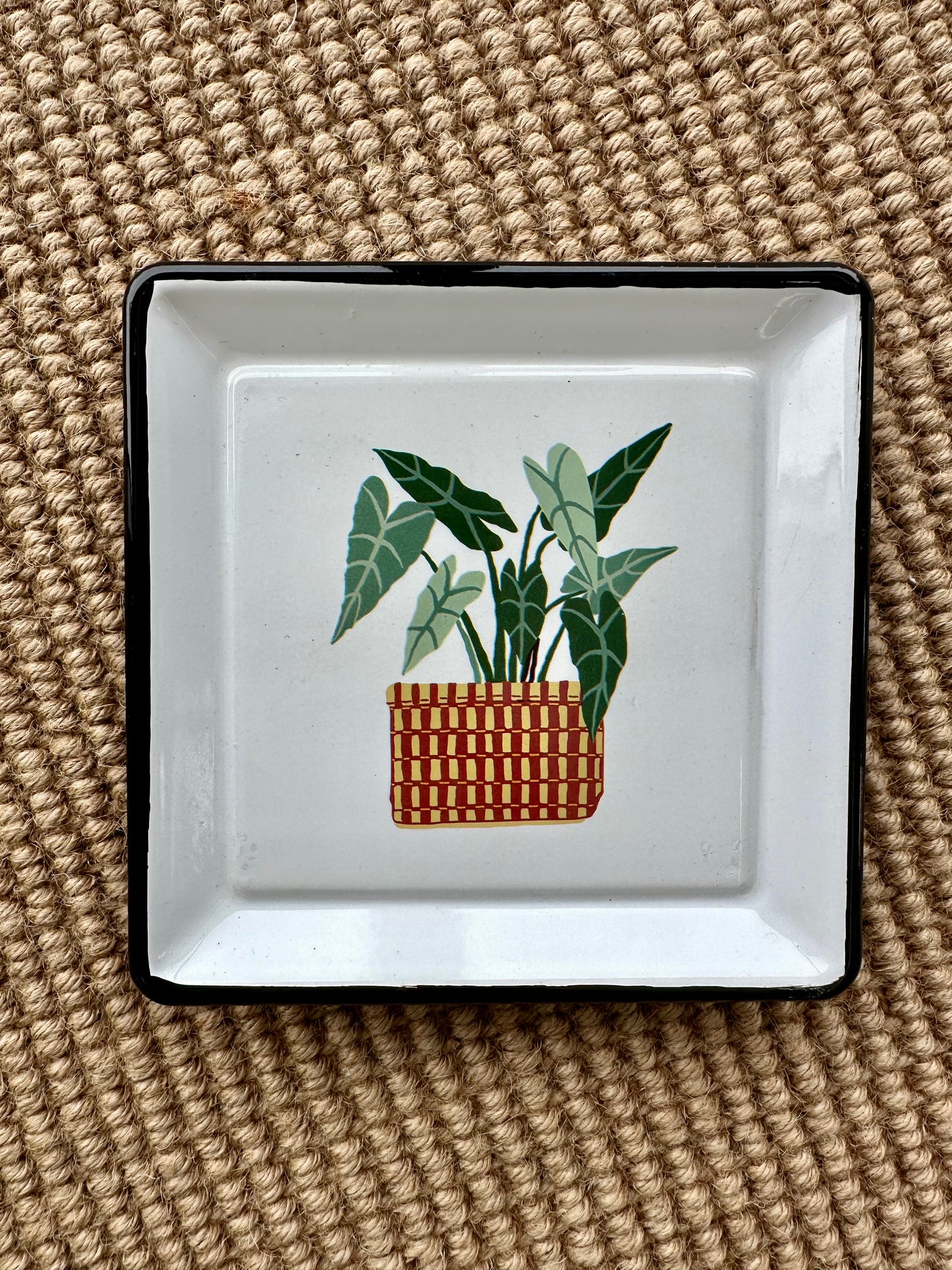 Plant Trinket Tray