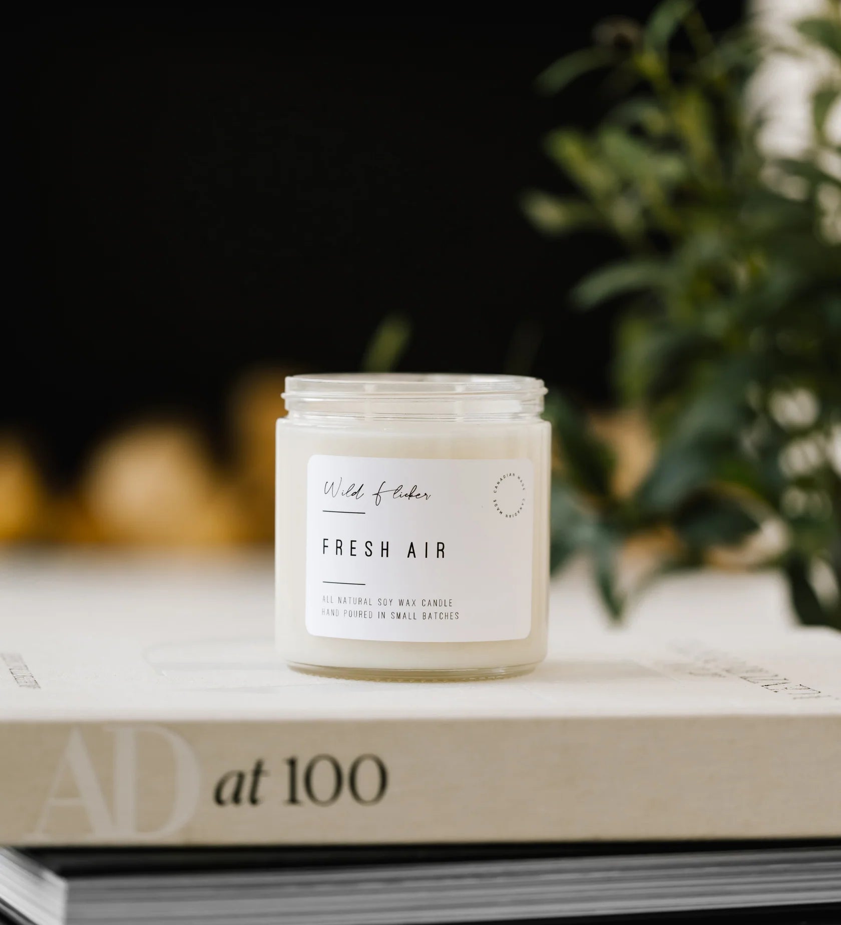 Fresh Air Soy Wax Candle