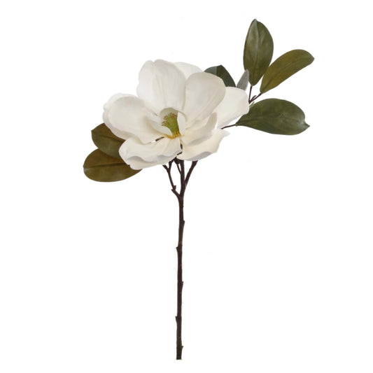 Magnolia spray stem