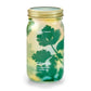 Herb Garden Jars