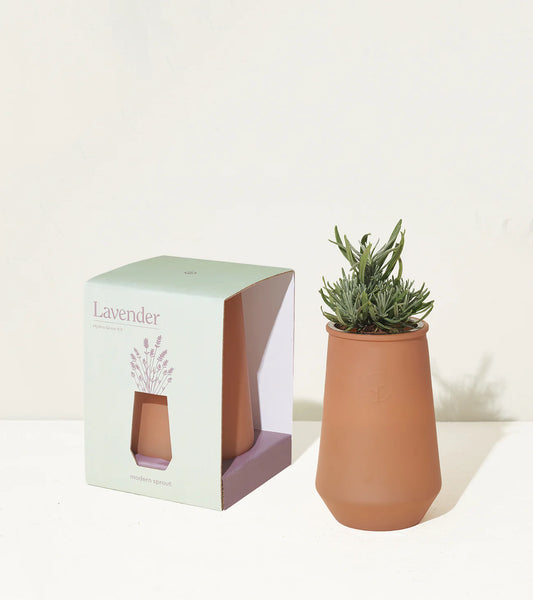Lavender Hydro Grow Kit
