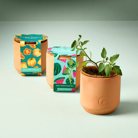 Tiny terracotta Garden Kit