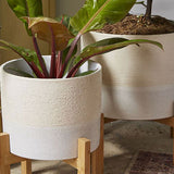 Calvia Pot With Stand