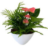 Medium Eileen Planter
