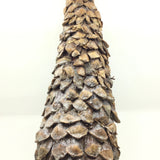 Pinecone Tree