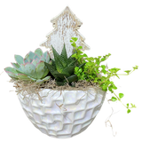 Shimmering Winter Succulent Planter